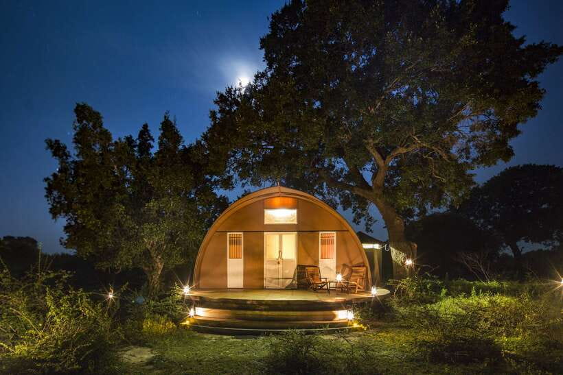 Overnight Treehouse Safari at Yala National Park - Why this Yala overnight feels different