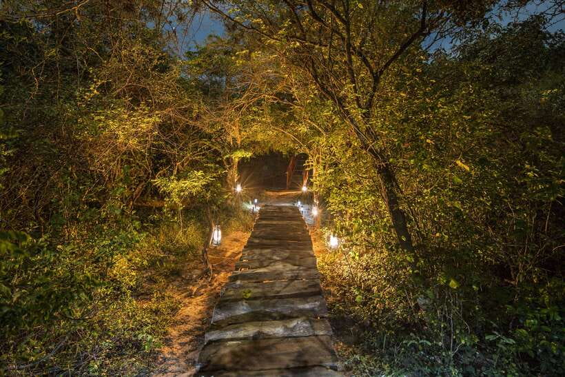 Overnight Treehouse Safari at Yala National Park - Practical details before you decide