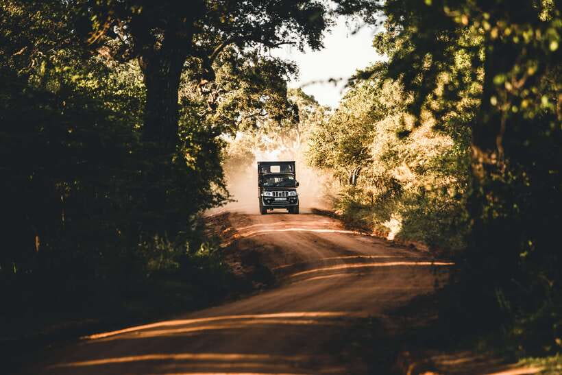Overnight Treehouse Safari at Yala National Park - The road from Colombo or the southern coast