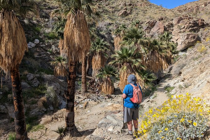 Palm Springs Hike to an Oasis and Amazing Desert Views - Key points to know before you go