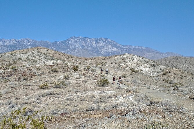 Palm Springs Hike to an Oasis and Amazing Desert Views - Starting near Palm Springs Cat Cafe