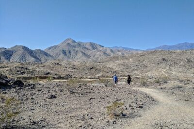 Palm Springs Hike to an Oasis and Amazing Desert Views