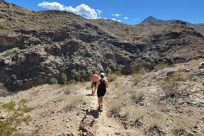 Palm Springs Hike to an Oasis and Amazing Desert Views - Water, snacks, and what to carry