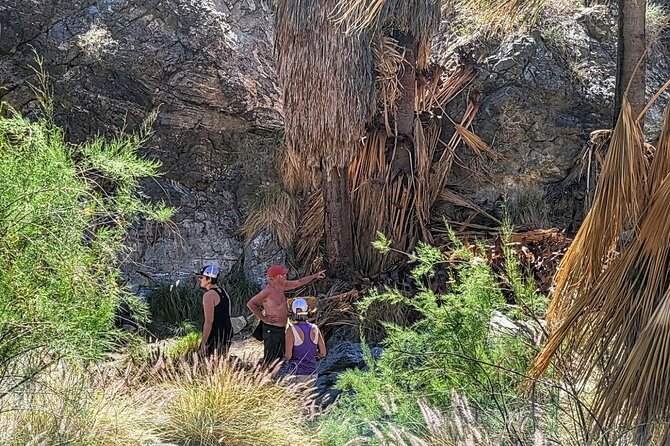 Palm Springs Hike to an Oasis and Amazing Desert Views - Is the 67 dollar price fair?