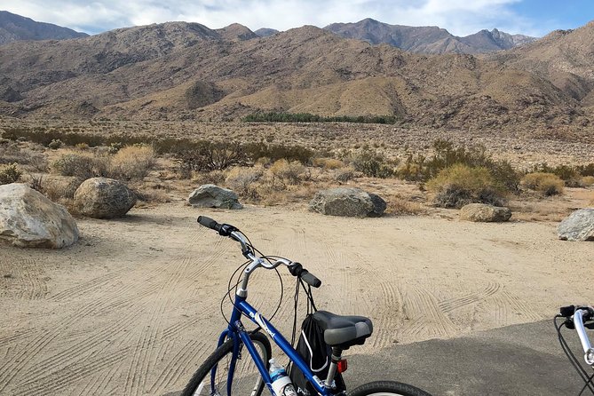 Palm Springs Indian Canyons Bike and Hike - Walking beside the stream and palms