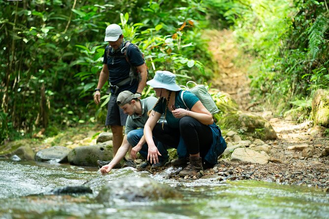Pance Waterfalls: Hike to discover the biodiversity of the valley - From Cali to La Voragine at 7 a.m.