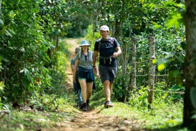 Pance Waterfalls: Hike to discover the biodiversity of the valley