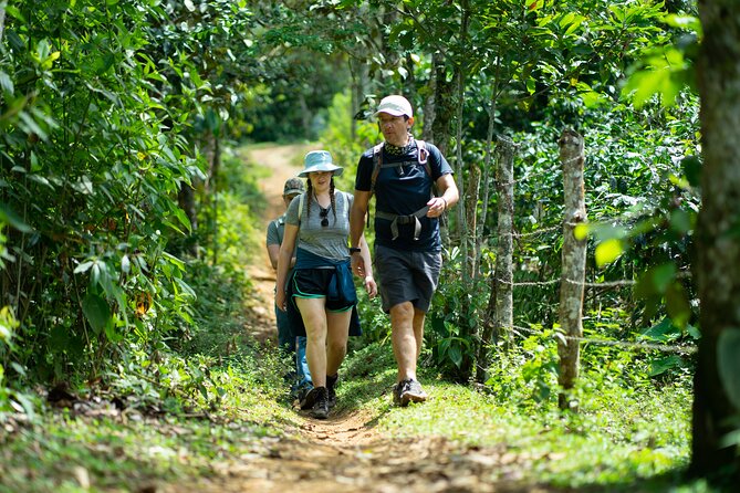 Pance Waterfalls: Hike to discover the biodiversity of the valley - Views over Cali and the Pance Valley