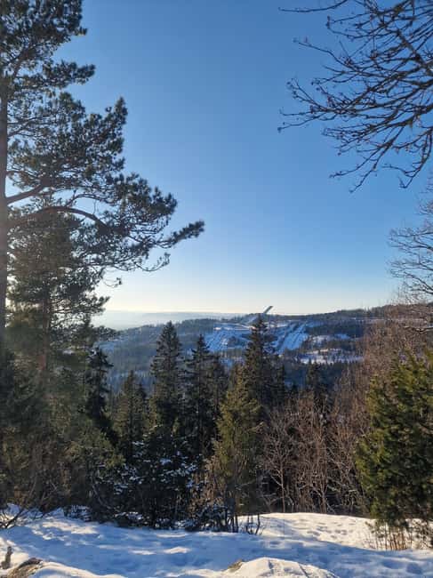 Panoramic Peaks – Oslo’s Most Beautiful Fjord Views Hike - Key points at a glance