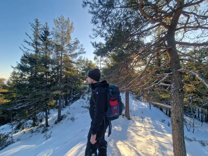 Panoramic Peaks – Oslo’s Most Beautiful Fjord Views Hike - From the tiger statue to Oslo’s high country
