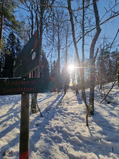 Panoramic Peaks – Oslo’s Most Beautiful Fjord Views Hike - Why the guides add value