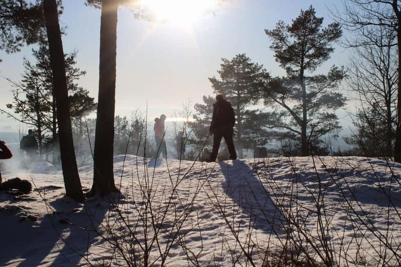Panoramic Peaks – Oslo’s Most Beautiful Fjord Views Hike - What $103 gets you