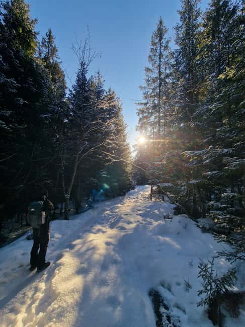 Panoramic Peaks – Oslo’s Most Beautiful Fjord Views Hike - How to prepare for summer and winter