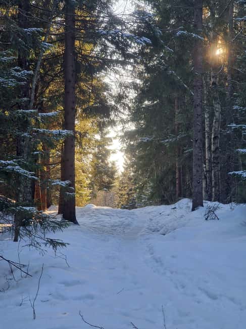 Panoramic Peaks – Oslo’s Most Beautiful Fjord Views Hike - Who will enjoy this hike most