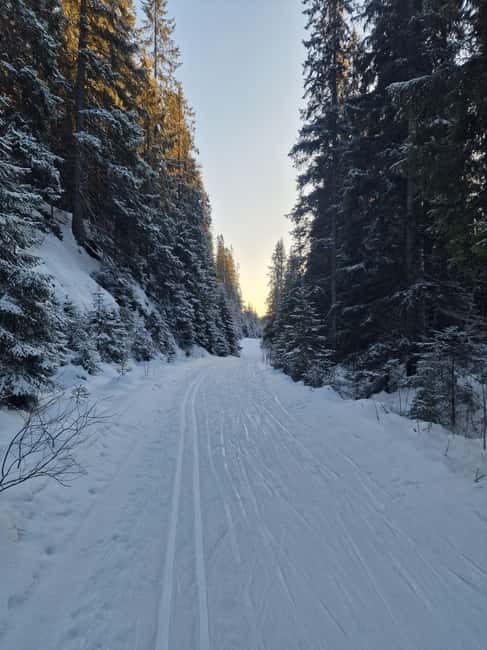 Panoramic Peaks – Oslo’s Most Beautiful Fjord Views Hike - The first forest miles near Vettakollen