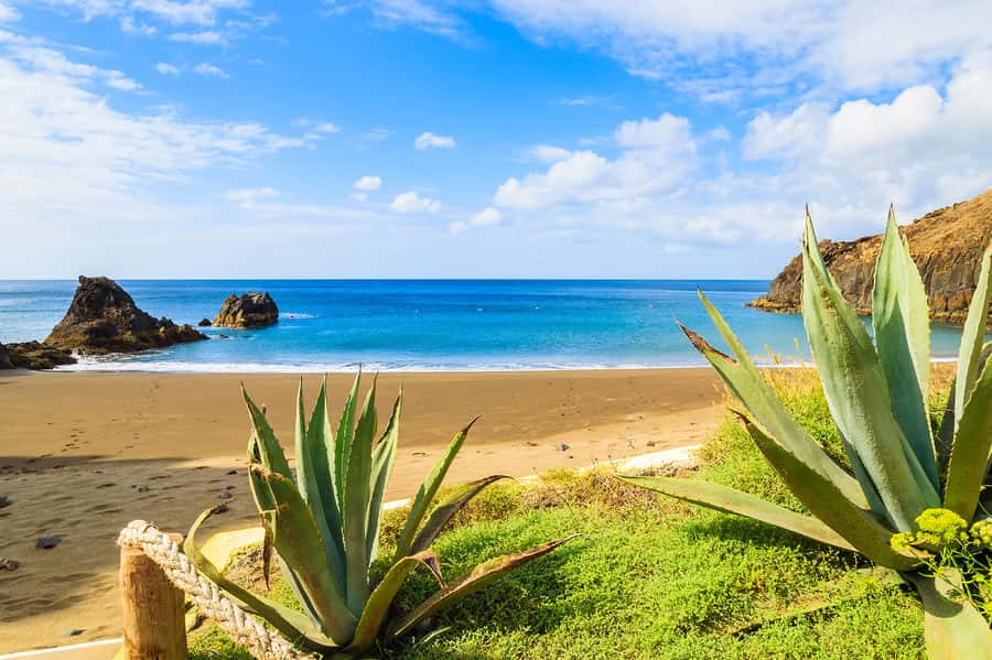 Pedra do Telégrafo Hike and Beach Full-Day Tour - Why the early start matters