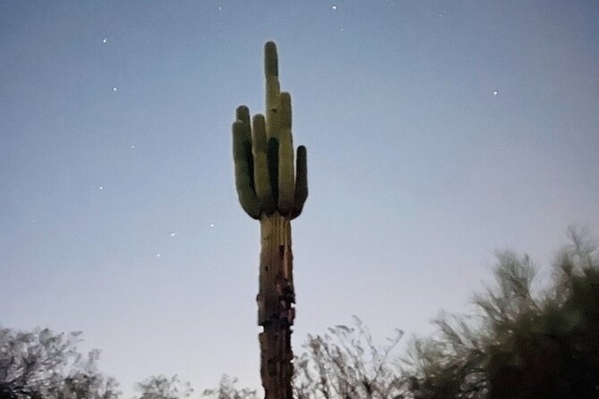Phoenix Mountains Preserve Night Glow Hike - Key points at a glance