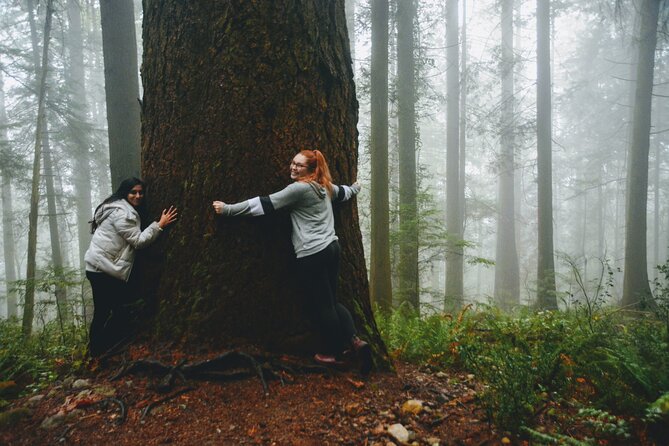 Photography, Gondola & Snowshoeing - Shannon Falls and the early photo opportunities