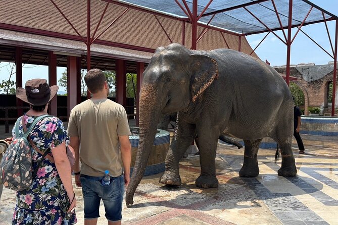 Phuket: Elephant Nature Walk - Guided Tour with Transport - Transport, timing, and the practical details
