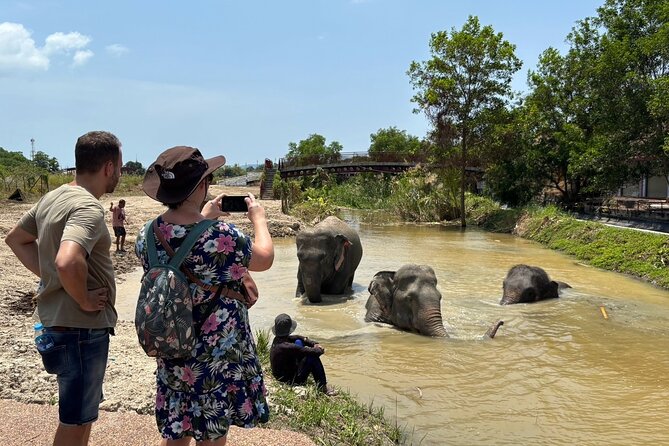 Phuket: Elephant Nature Walk - Guided Tour with Transport - Is $52.15 a fair price?