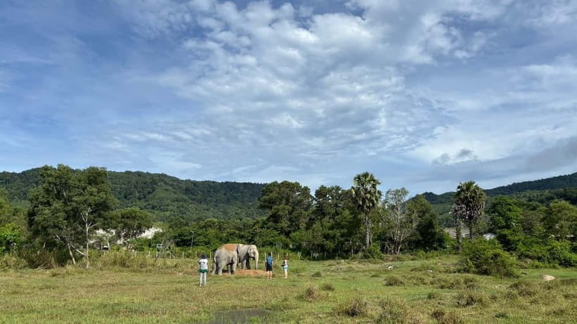 Phuket: Freedom Elephant Reserve - Ethereal Nature Walk - How the 90 minutes fits into your day