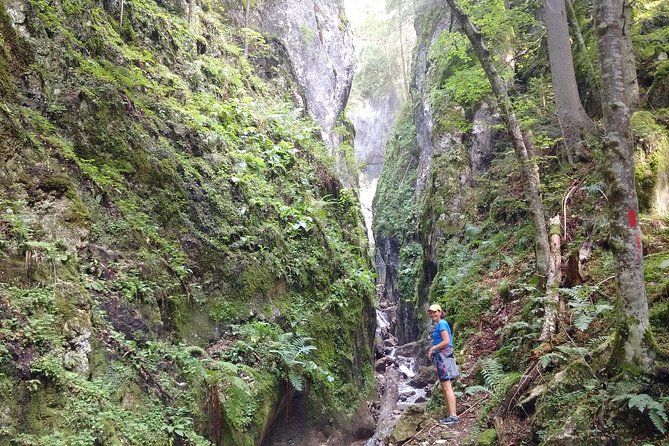 Piatra Craiului National Park Private Hiking Tour from Brasov - Lunch is part of the planning