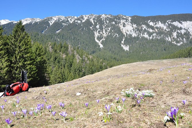 Piatra Craiului National Park Private Hiking Tour from Brasov - The guide makes the private format worthwhile