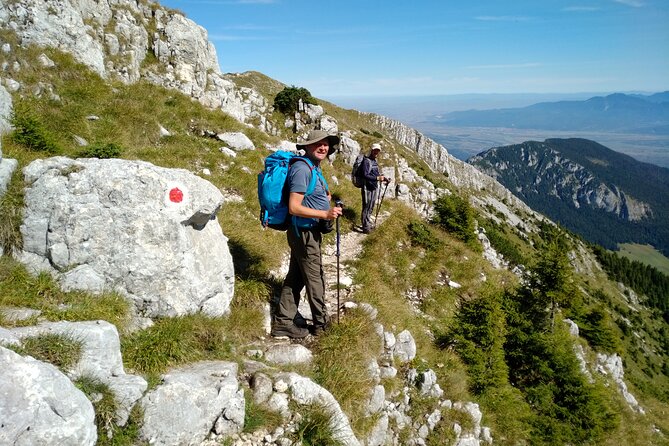 Piatra Craiului National Park Private Hiking Tour from Brasov - Winter brings snow, but also extra demands