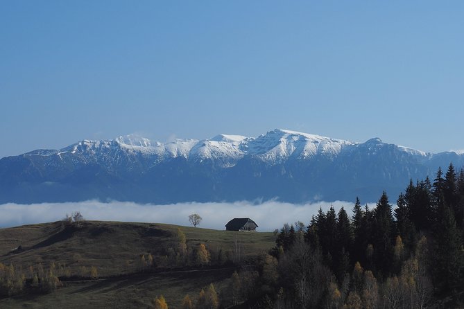 Piatra Craiului National Park Private Hiking Tour from Brasov - Who will enjoy this day most