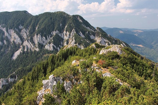Piatra Craiului National Park Private Hiking Tour from Brasov - Choosing between an easier and harder route
