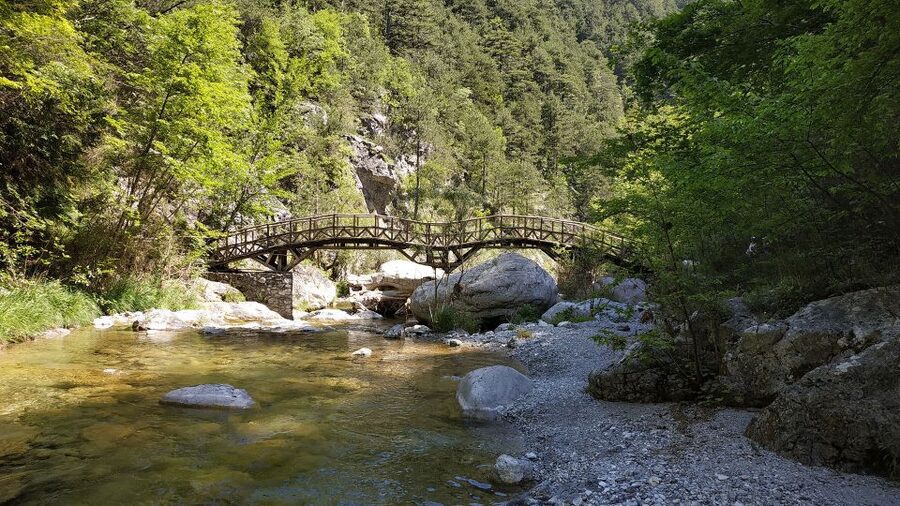 Pieria: Guided Hiking Tour in Enipeas Gorge of Mount Olympus - Starting at Prionia and entering the forest