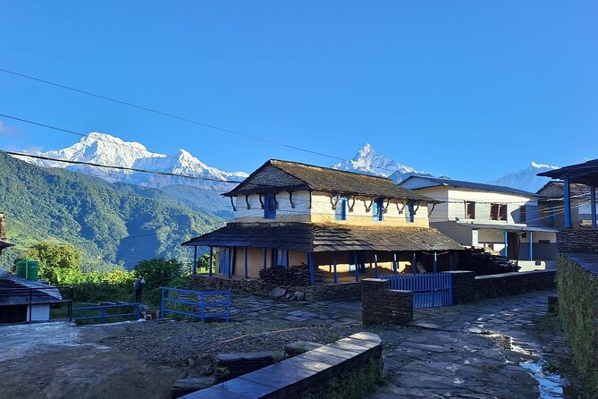 Pokhara: Easy Day Hike to Australian Camp & Dhampus Village - What your guide adds to the day