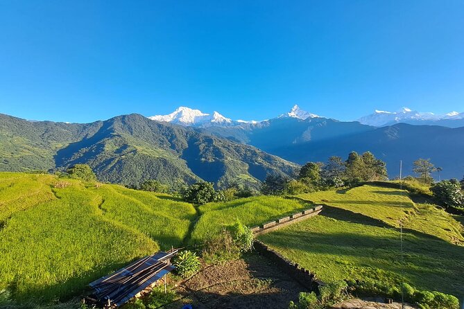 Pokhara: Easy Day Hike to Australian Camp & Dhampus Village - Is $58 a fair price?