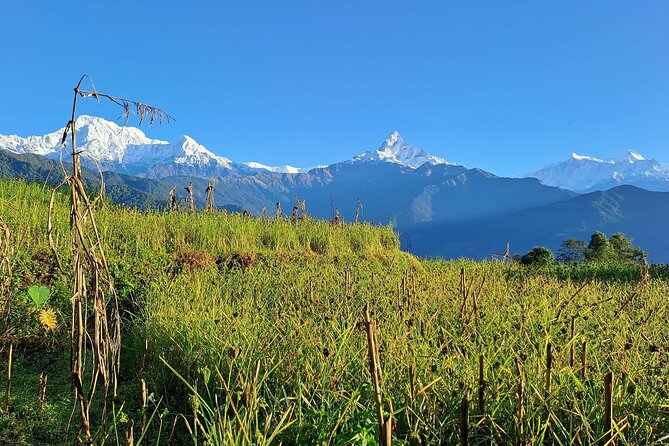 Pokhara: Easy Day Hike to Australian Camp & Dhampus Village - Who should choose this hike?