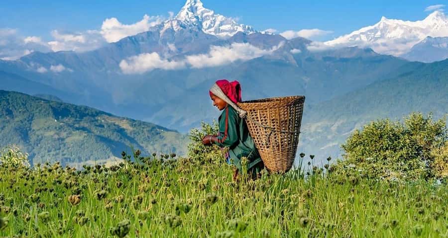 Pokhara: Guided Day Hike From Dampus To Australian Base Camp - Small details that improve the day