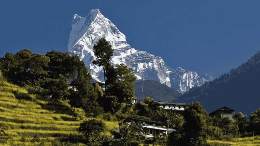 Pokhara: Guided Day Hike From Dampus To Australian Base Camp - Why Australian Camp works for a one-day hike
