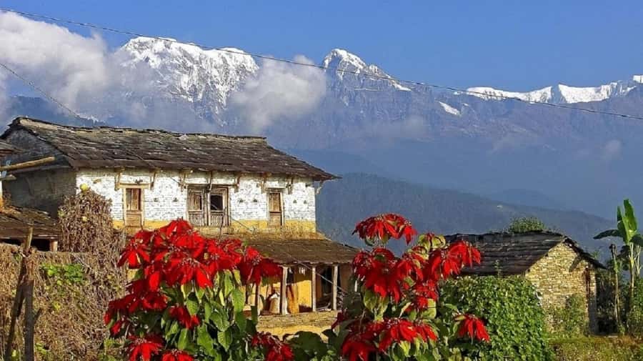 Pokhara: Guided Day Hike From Dampus To Australian Base Camp - Reaching Australian Camp after about 90 minutes