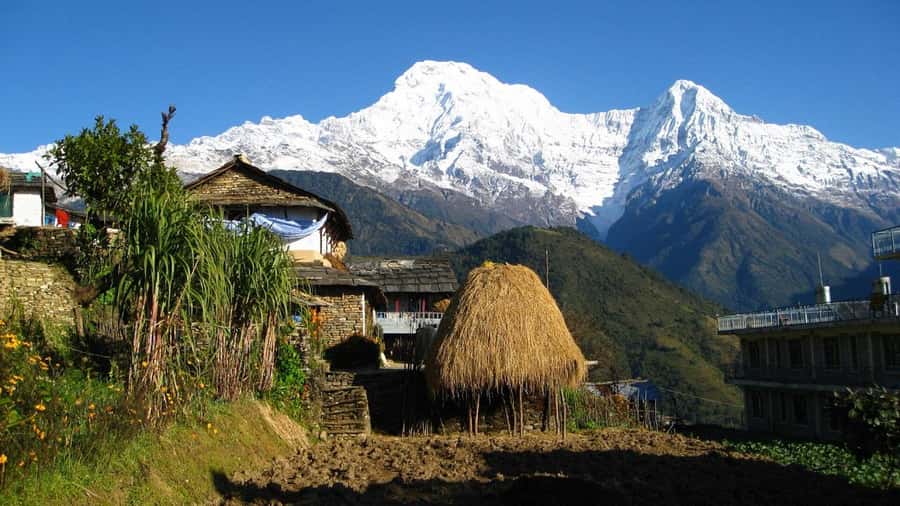 Pokhara: Guided Day Hike From Dampus To Australian Base Camp - What the $55 price really covers