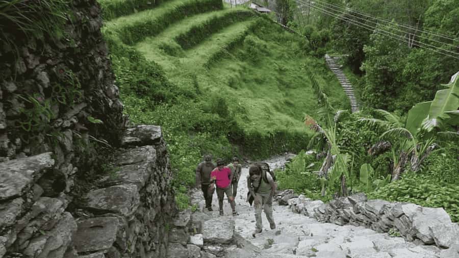Pokhara: Guided Day Hike From Dampus To Australian Base Camp - From Pokhara to Dhampus in 90 minutes
