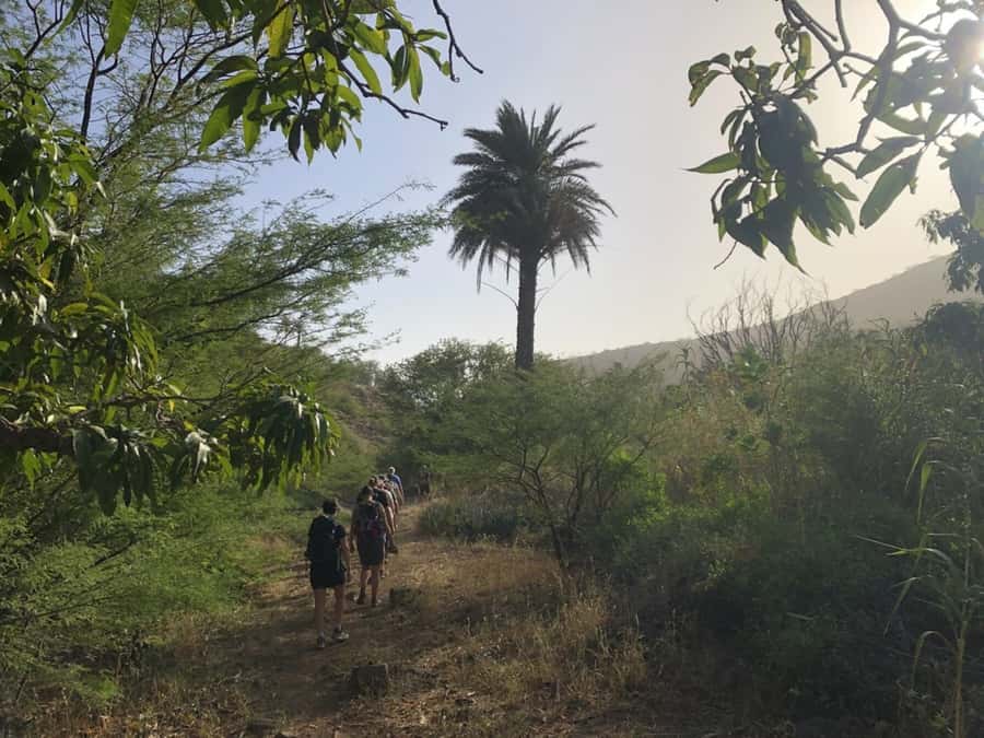 Praia: Baobab Mysterious Tree, Green Valley & Old City Hike - Who should book this walk