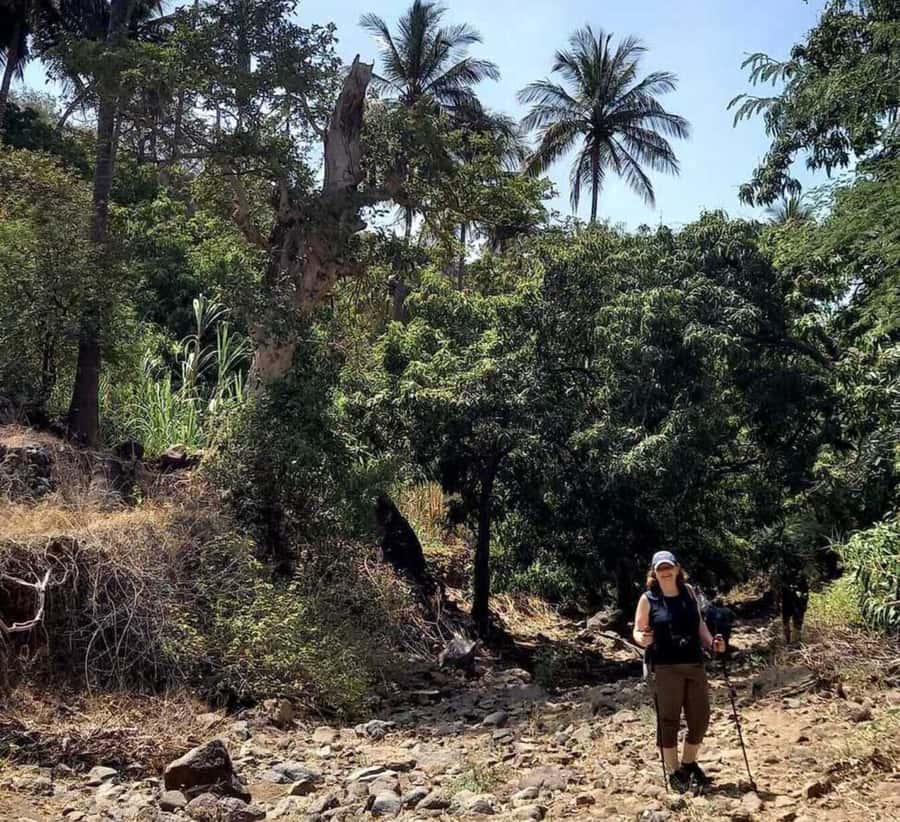 Praia: Baobab Mysterious Tree, Green Valley & Old City Hike - Meeting the 400-year-old baobab