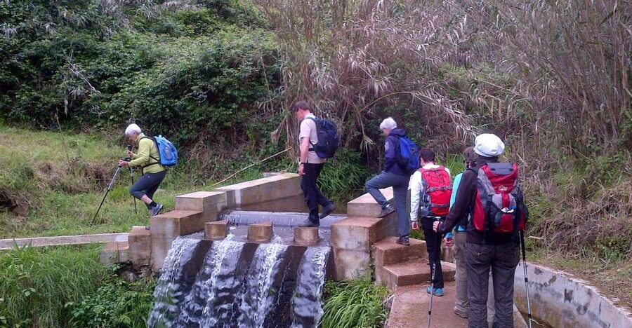 Prazeres: Full-Day Nature Walk - Starting in Prazeres among gardens and farmland