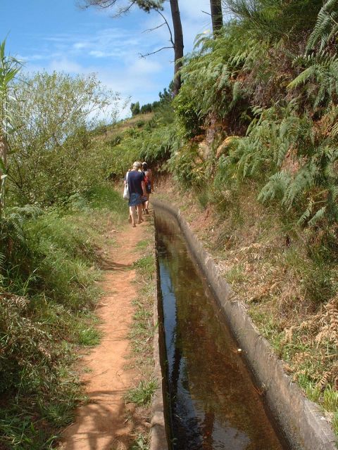 Prazeres: Full-Day Nature Walk - Understanding the Levada of Prazeres