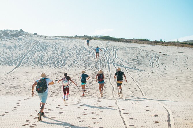 Private Aruba National Park Hiking & Natural Pool Swimming - Why this half-day hike feels different