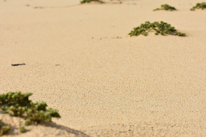 Private Aruba National Park Hiking & Natural Pool Swimming - Conchi Natural Pool and one hour in the water