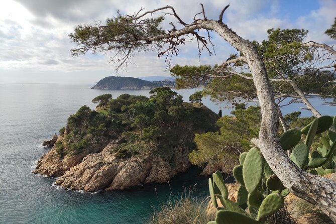 Private Costa Brava Hike and Snorkel from Barcelona with Lunch - Timing, comfort, and the physical effort