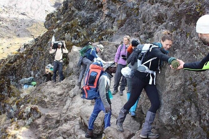 Private Day Tour Kilimanjaro Hike - Why Mandara Hut makes a good one-day Kilimanjaro goal
