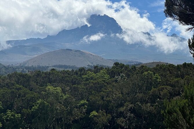 Private Day Tour Kilimanjaro Hike - How hard is this Kilimanjaro day hike?