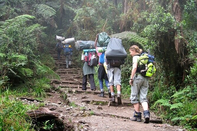 Private Day Tour Kilimanjaro Hike - Who will get the most from this tour?