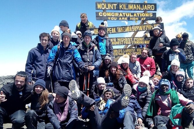Private Day Tour Kilimanjaro Hike - The Marangu Route begins under the trees